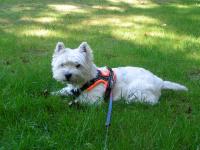 Klik op de foto voor groter formaat